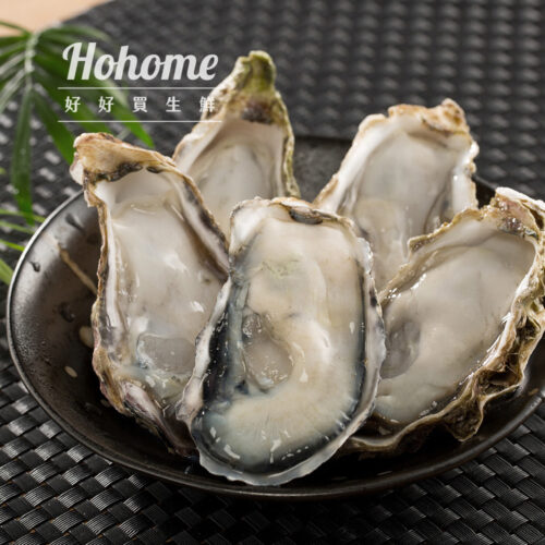 日本兵庫生食生蠔(1Kg約9-11顆)