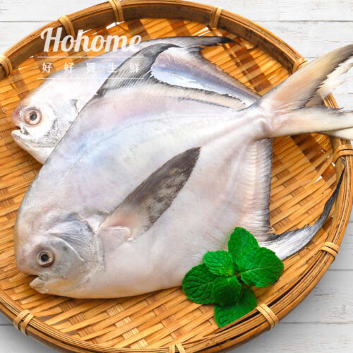 印度大白鯧(500/600g)